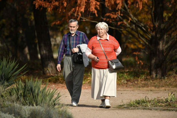 Замсекретаря ОП Гриб предложил ввести единую социальную карту для пенсионеров