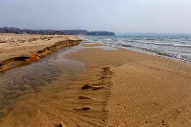 "Кишками все усеяно": приморцы впали в ступор от обстановки на популярном пляже