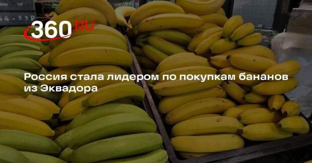 Россия стала лидером по покупкам бананов из Эквадора