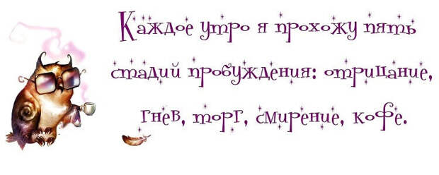 15 прикольных цитат о жизни женщины