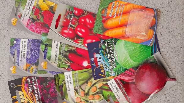 В почтовых отделениях ажиотаж – свердловчане скупают семена