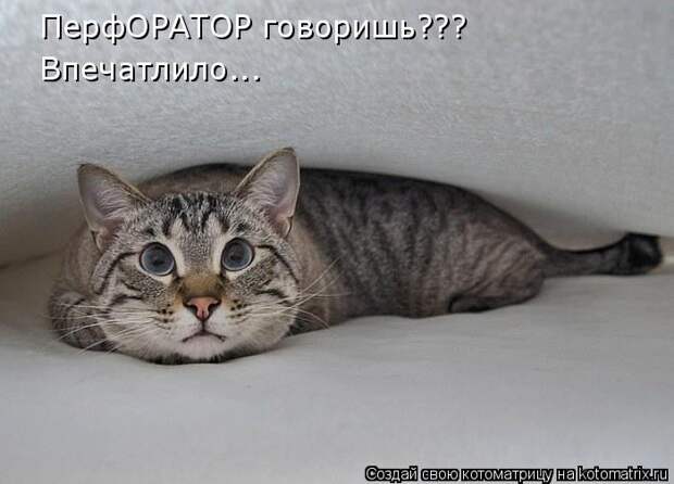 Мысли вслух :)
