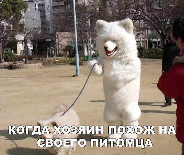 Подборка забавных фото и картинок с надписями (10 фото) Подборка забавных фото и картинок с надписями (10 фото)