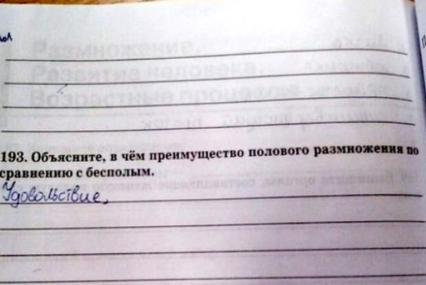 Развитый ребенок. 18 эпичных умозаключений, найденных на страницах школьных тетрадей