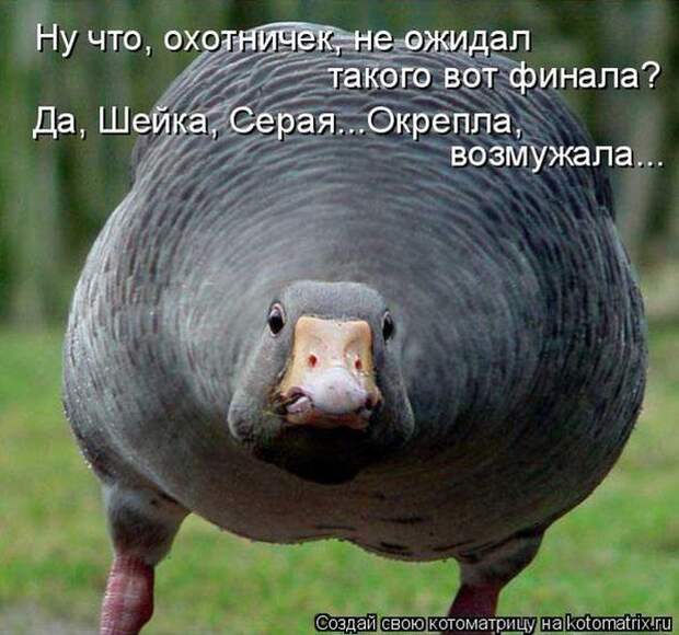 Мысли вслух :)