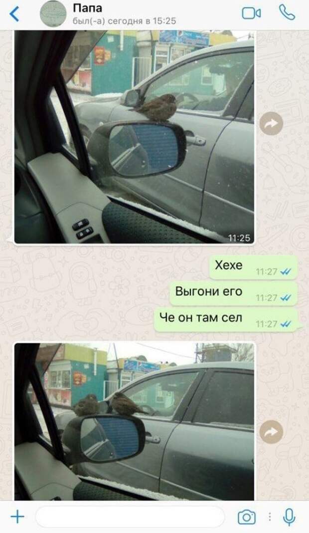 Смешные комментарии из социальных сетей прикол, юмор