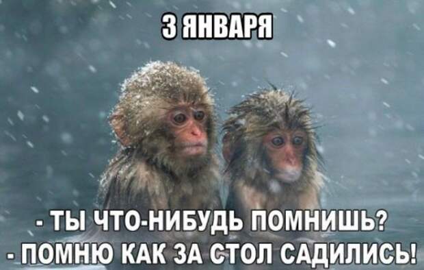 Новые прикольные фотомемы (28 шт)