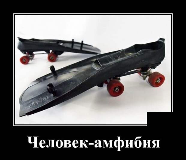Демотиваторы (30 фото)