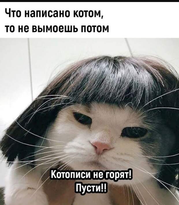 картинки с приколами для поднятия настроения (21)