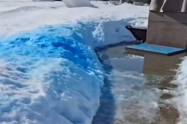 В Госдуме прокомментировали ситуацию с гендер-пати у памятника Жукову