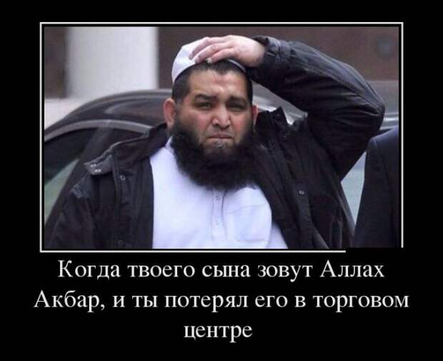 Демотиваторы (30 фото)