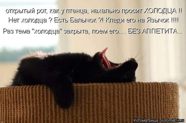 Котоматрицы