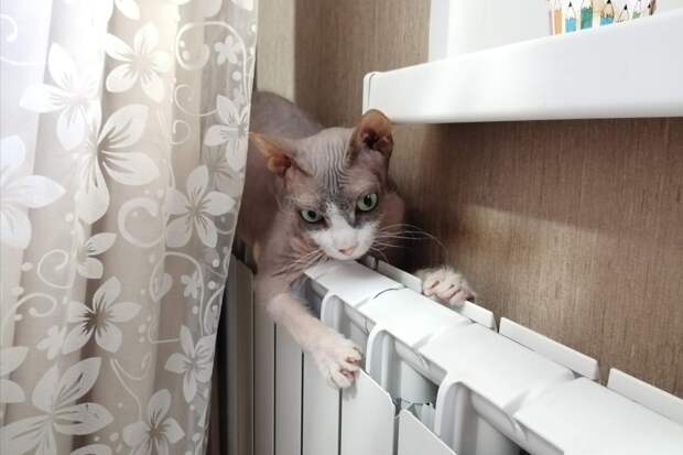 Замена батарей и газовых плит: правовые аспекты и последствия