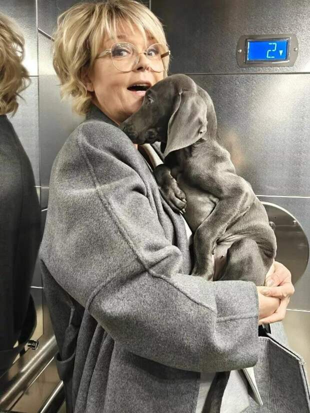 Юлия Меньшова сравнила себя со своим домашним питомцем: фото