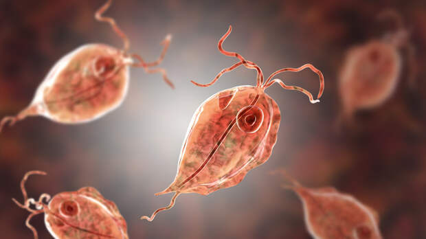 Врач: весной может наблюдаться увеличение количества случаев кишечных инфекций