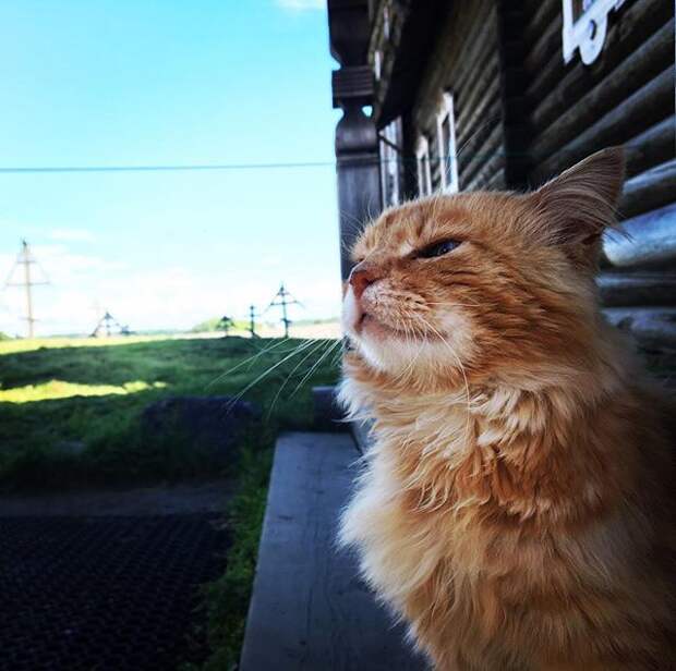 https://scontent.cdninstagram.com/vp/012dbee0d88391f464a6bc13e8cf5faa/5B5C6CDB/t51.2885-15/s640x640/sh0.08/e35/20633844_1817689791894973_6510569503271682048_n.jpg