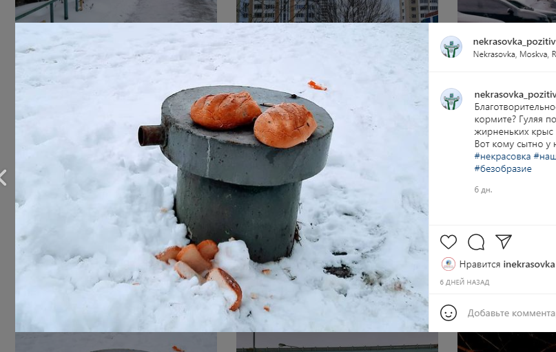 Фото дня: кому в Некрасовке сытно живется?