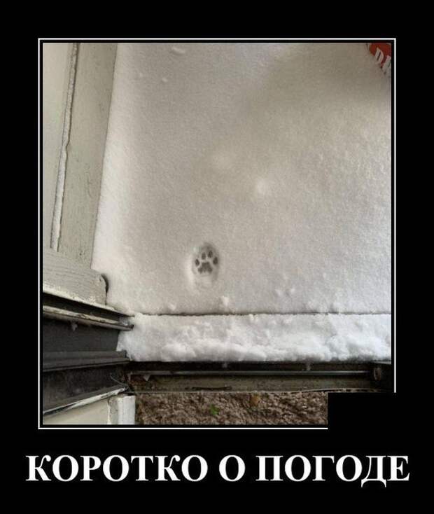 Демотиватор про погоду
