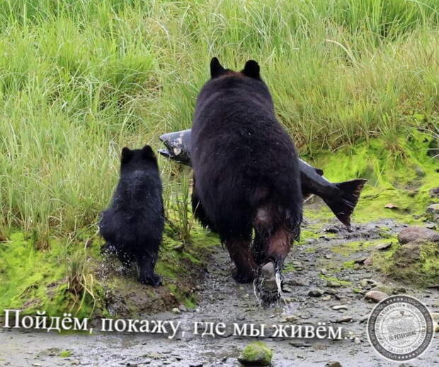 Ну, мы погнали