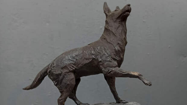 Памятник собаке – спасительнице солдат СВО поставят в зоопарке Барнаула до конца лета