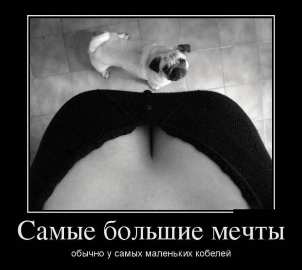 Демотиваторы