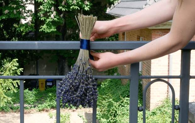 натуральный репеллент