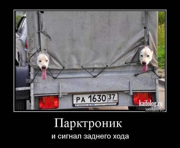 Демотиваторы на авто тему (45 демок)