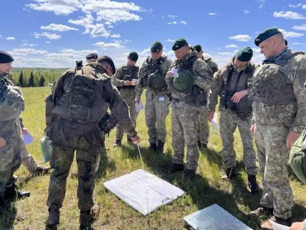 Литва готова отправить военных на Украину, но в коалиции с Францией