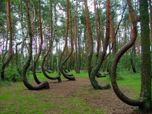 19 фотографий необъяснимых вещей, которые заставят «вспотеть» ваши штаны