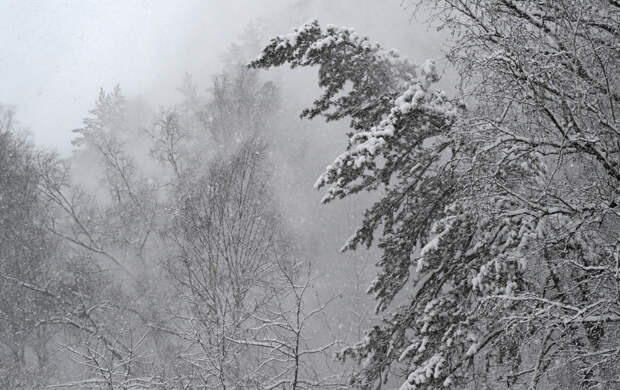 Россиянин и его четырехлетний сын насмерть замерзли в тайге