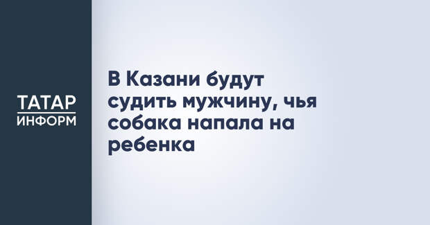 В Казани будут судить мужчину, чья собака напала на ребенка