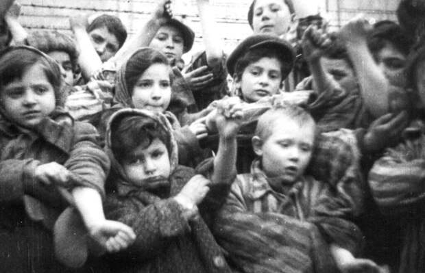 Освобожденные дети, заключенные концлагеря Освенцим (Аушвиц) показывают лагерные номера, вытатуированные на руках. Бжезинка, Польша. Февраль 1945 г.