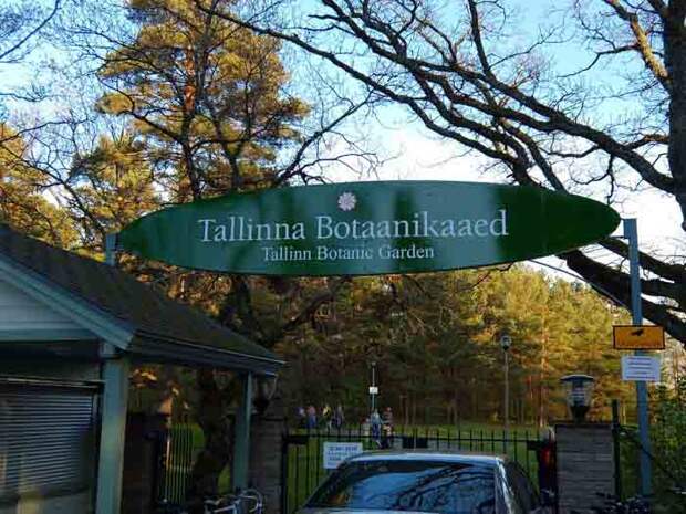 Ботанический сад в Таллине