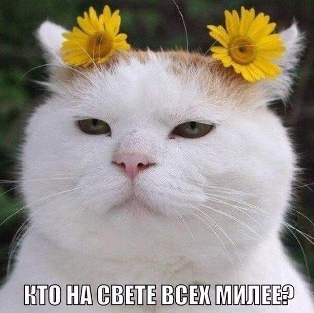 2861807631 (604x603, 187Kb)