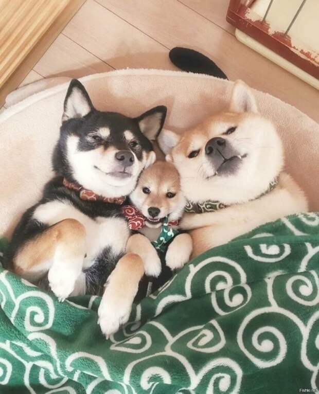 520bd10bf2f18249929f43cb5aefe698 (566x700, 262Kb)