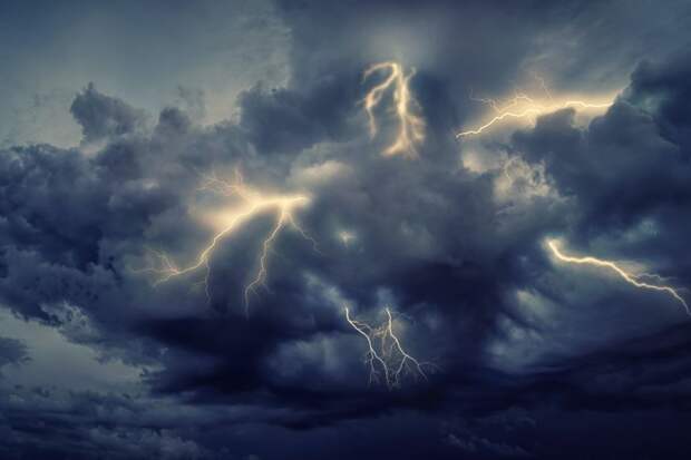 «Лето 2026 устроит погодную сенсацию». Синоптики сказали, к чему готовиться