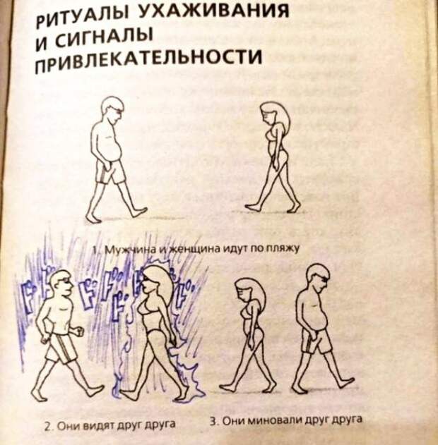 Картинки с надписями, истории и анекдоты