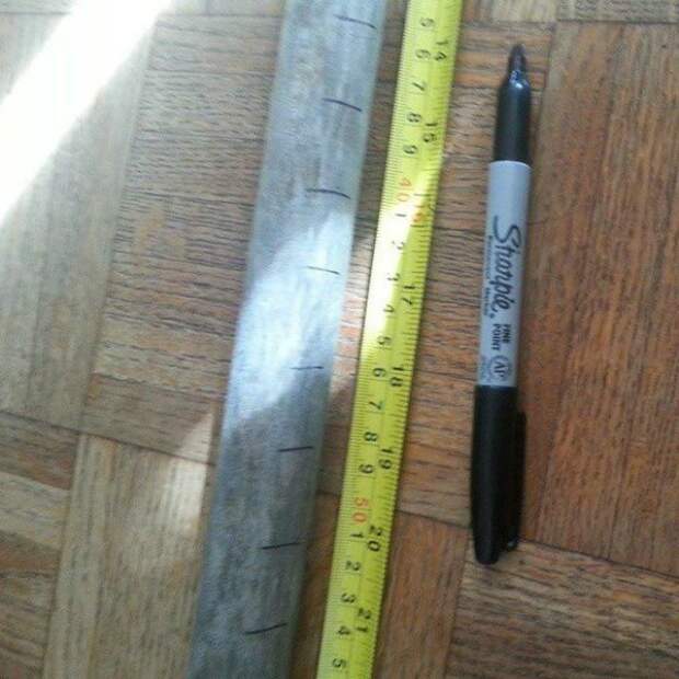 Бюджетные садовые хитрости