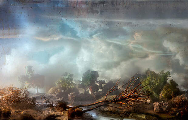Рухнувшее дерево. Автор: Kim Keever.