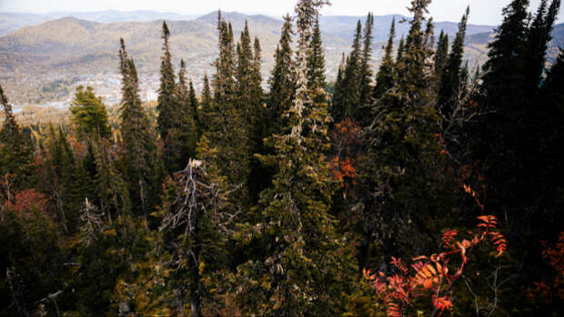«Вносили хаос»: исчезновение Усольцевых пугающе повторяет кровавую историю 2006 года