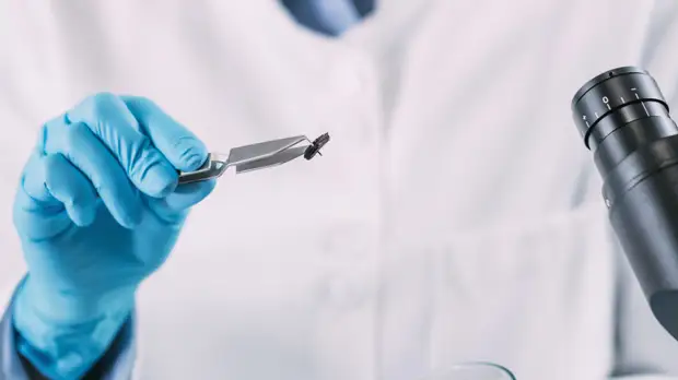 В Москве отреставрировали монеты XVIII—XX веков, найденные в 2021 году