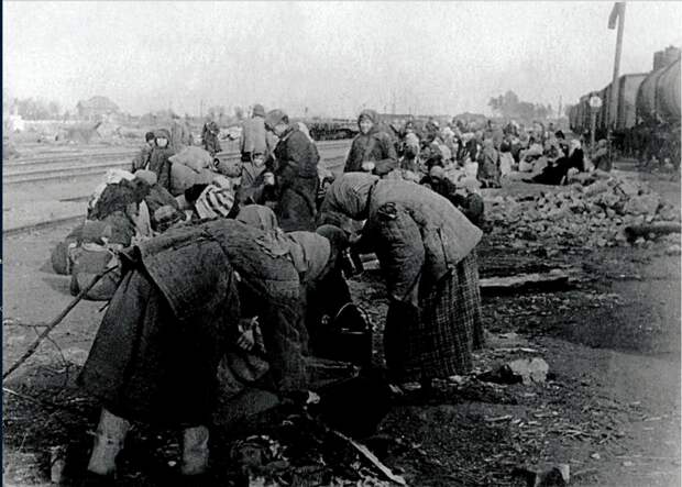 Душераздирающие фотографии военных лет.