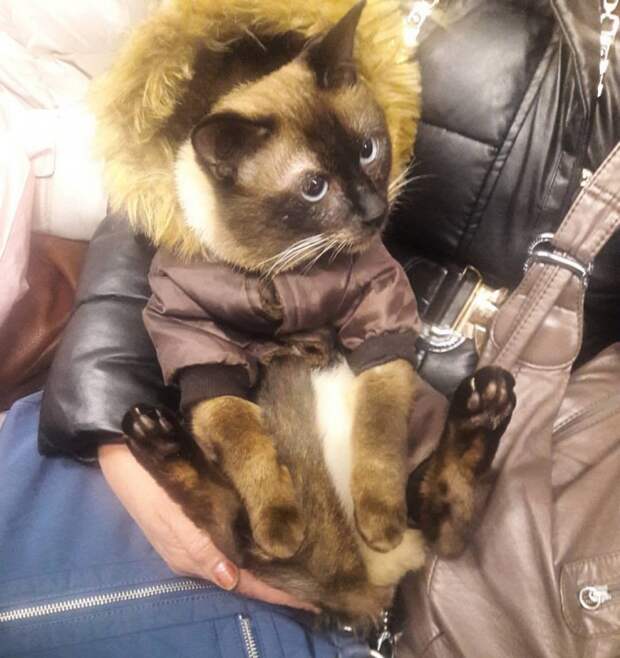 Модники из российского метрополитена