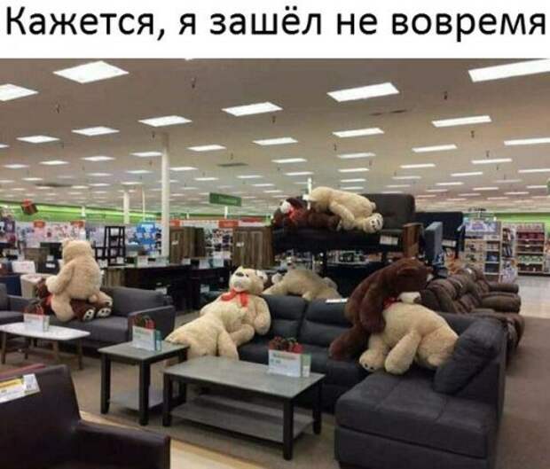 Новые прикольные фотомемы (23 шт)
