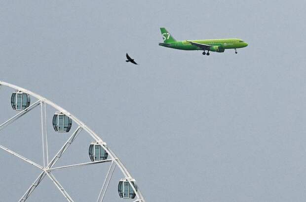 Российская авиакомпания запретила пилотам снимать красивые посадки и взлеты