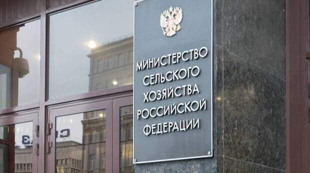 В России создадут объединение биофабрик для разработки ветпрепаратов