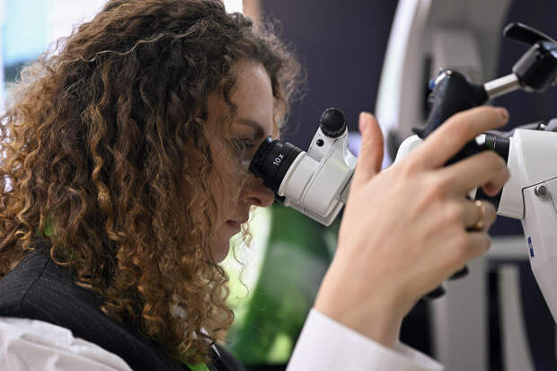 В России впервые в мире нашли способ борьбы с устойчивым вирусом