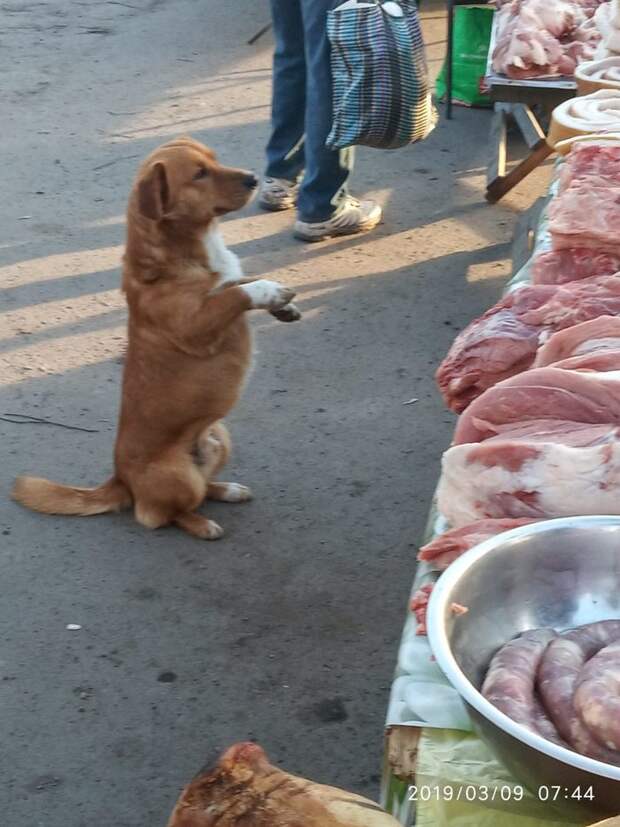 На рынке. На рынке.