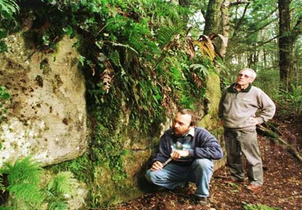 Фото взято с сайта: https://i.ytimg.com/vi/NDBVWlR2_CI/maxresdefault.jpg