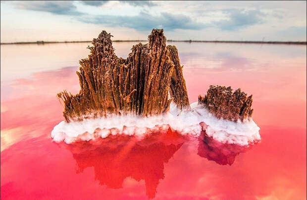Цвет озер зависит от микроводорослей, живущих в нем. Фото: Сергей Анашкевич.